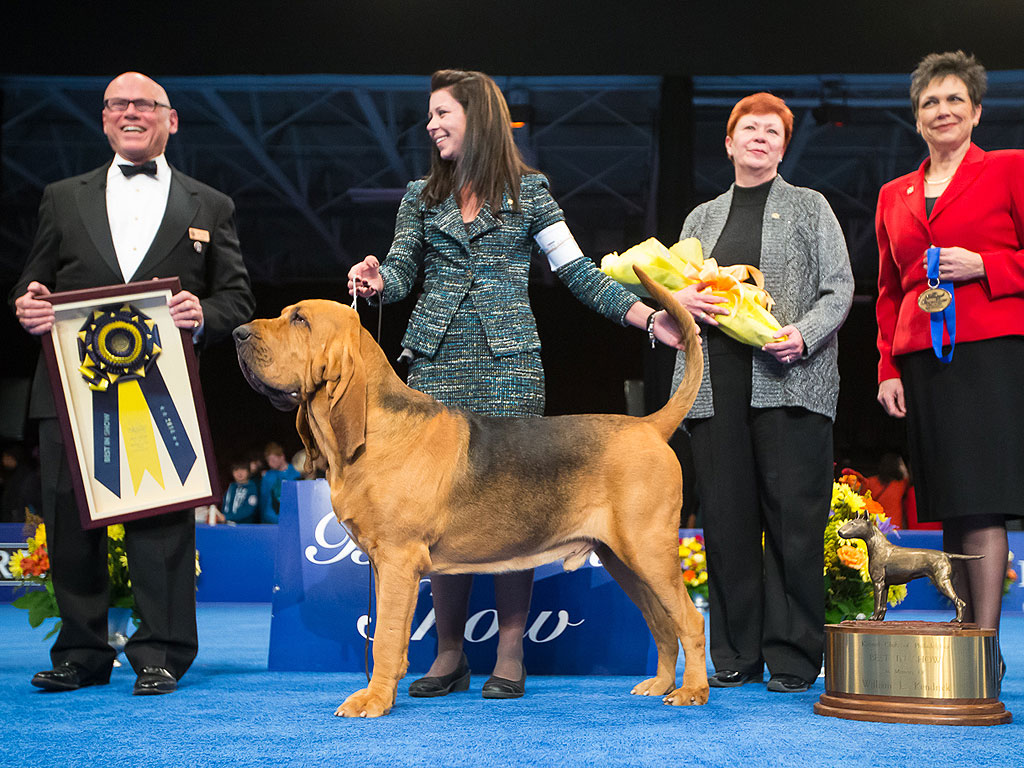 BEST OF BREED
