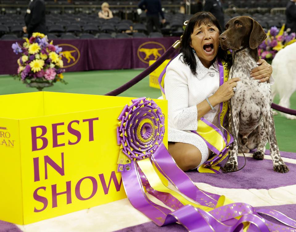 BEST IN SHOW